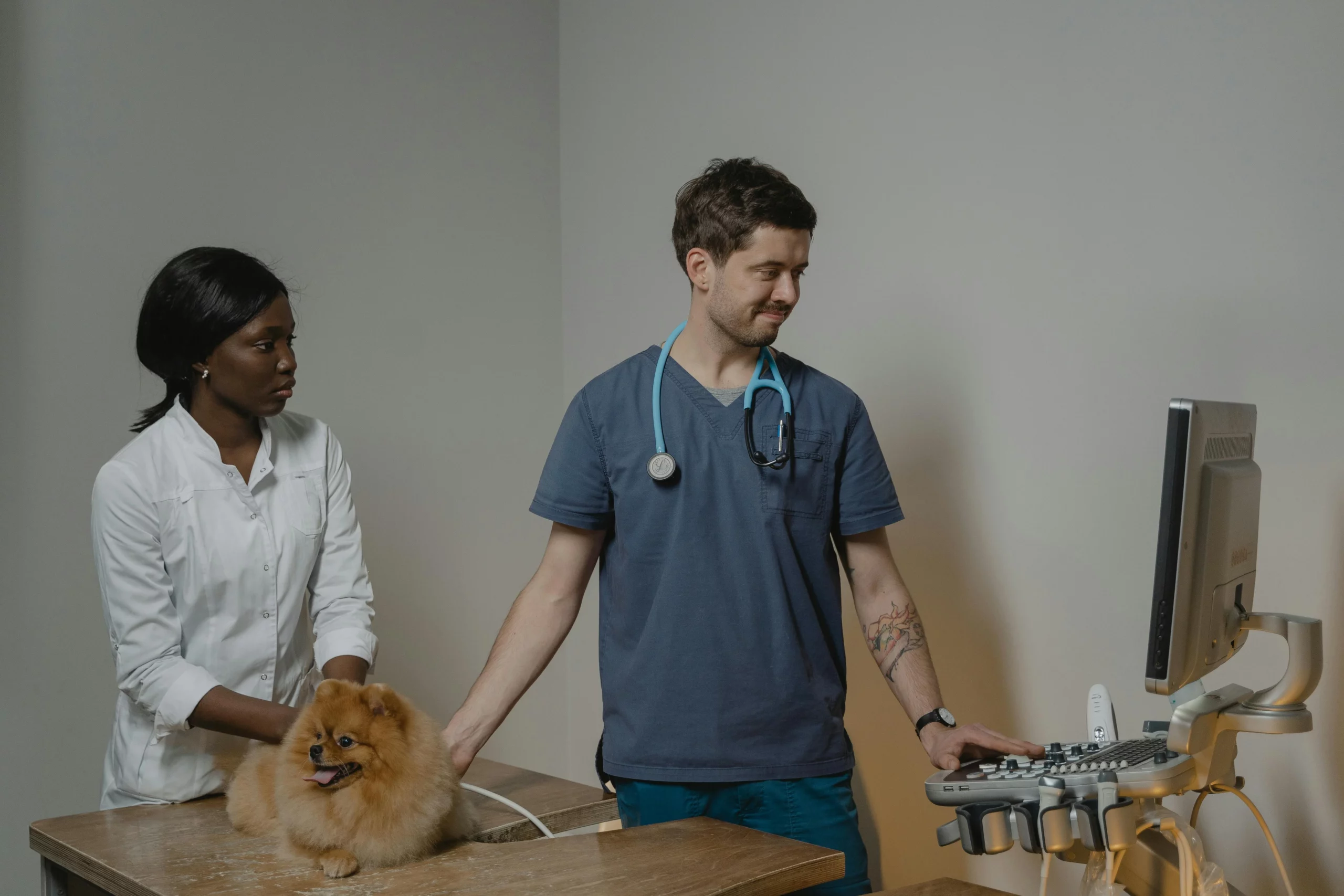 Veterinary technician examining small dog