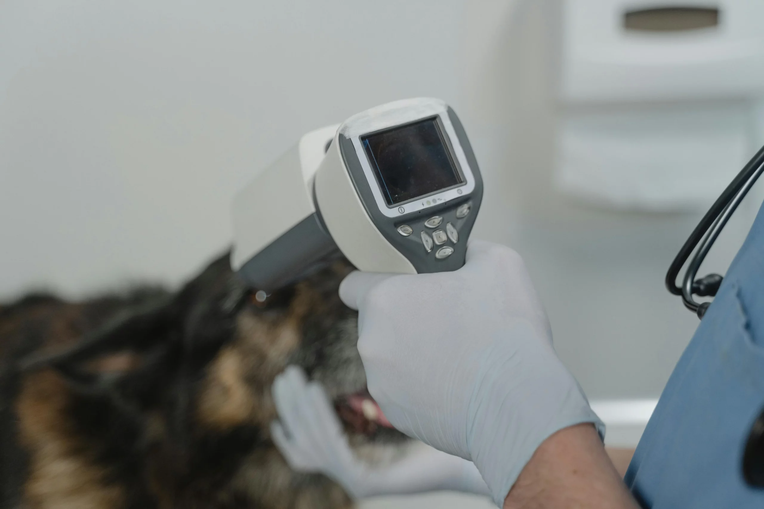 Close up of temperature machinery used by vets