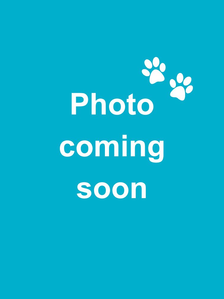 photo coming soon