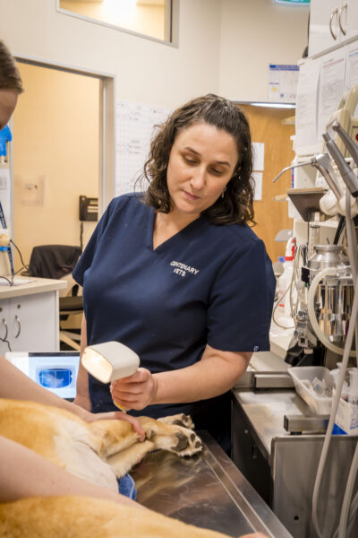 Dr Caitlin using HT Vista machine